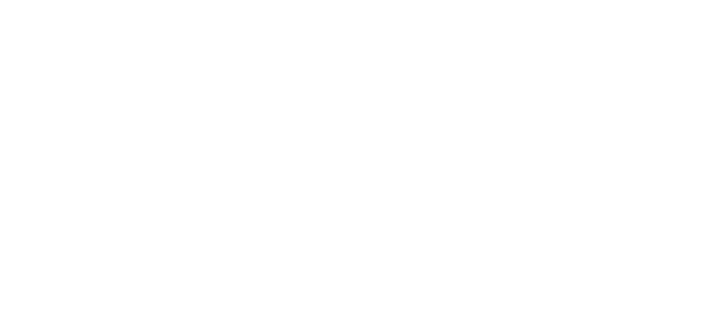Dynamic4 logo